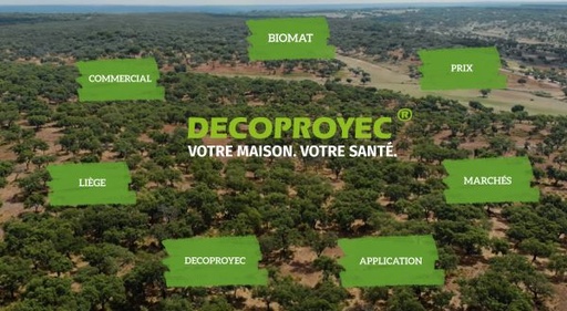 Prezi-decoproyec-fr